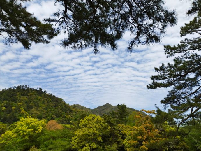 出雲大社