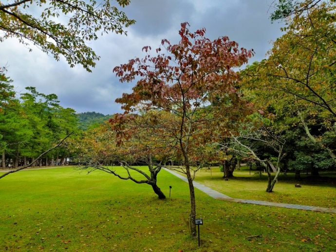 出雲大社