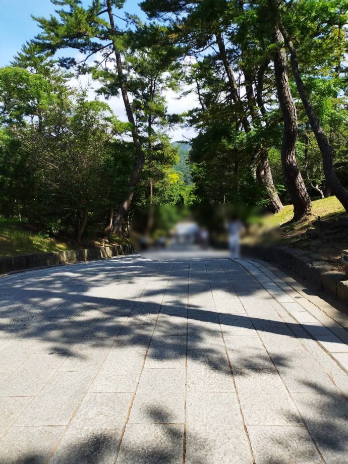 出雲大社参道