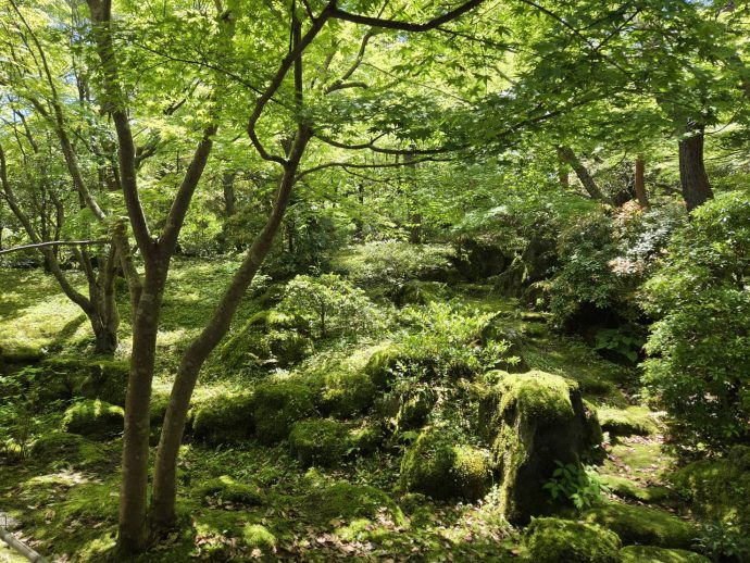 由志園